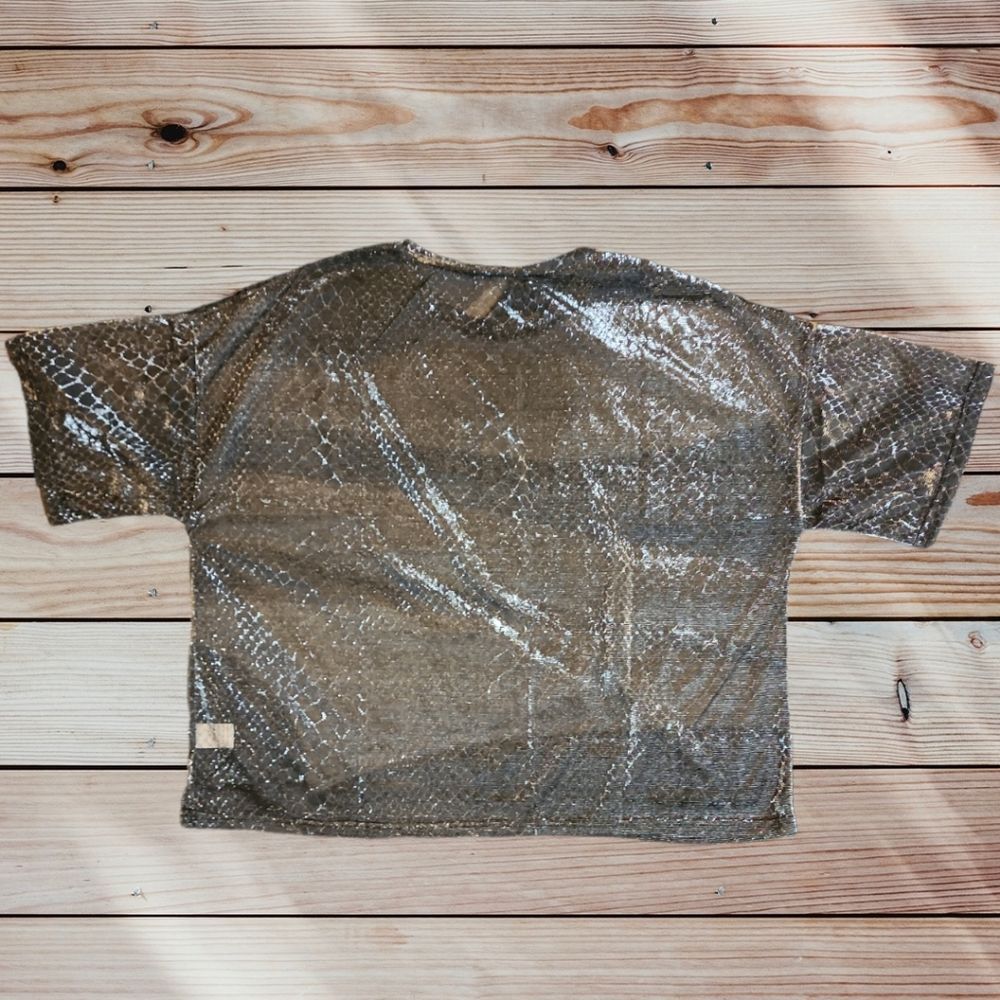 NWOT Plus size shimmery top